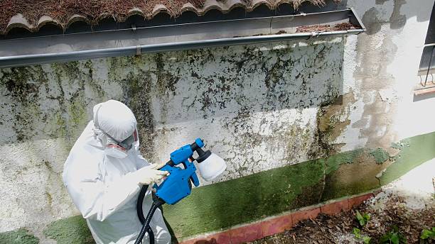 Top rated local Crawl Space Mold Removal specialists in Mineral Point, PA